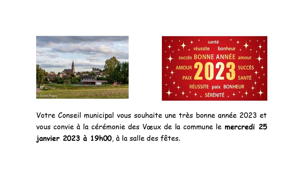 Voeux invit site